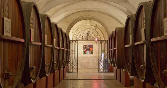 Ultimate French wine tour Credits- Patriarche Wine Company