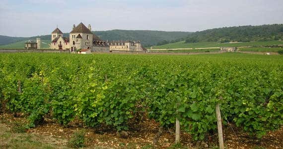 Ultimate French wine tour