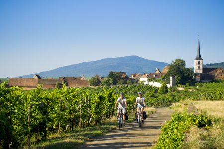 Strasbourg Wine Tour - Credits Infra and ADT Alsace