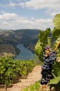 Douro Agosto Verao- Credits Douro Wine Tourism