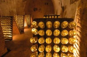 Champagne Bottles in Cellar