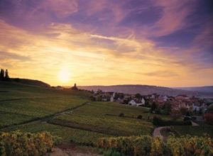 Champagne Vineyards ©JKGraeber