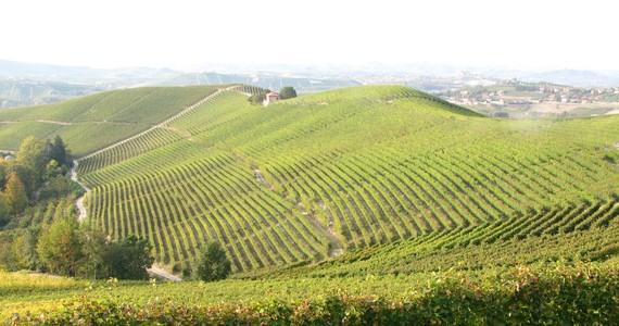 Barolo wine tour - Credits Langhe