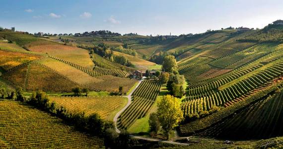 Piedmont Wine Tour - Credits Ca del Baio