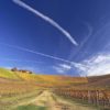 Piedmont Wine Tour - Credits Fontanafredda Gallaretto