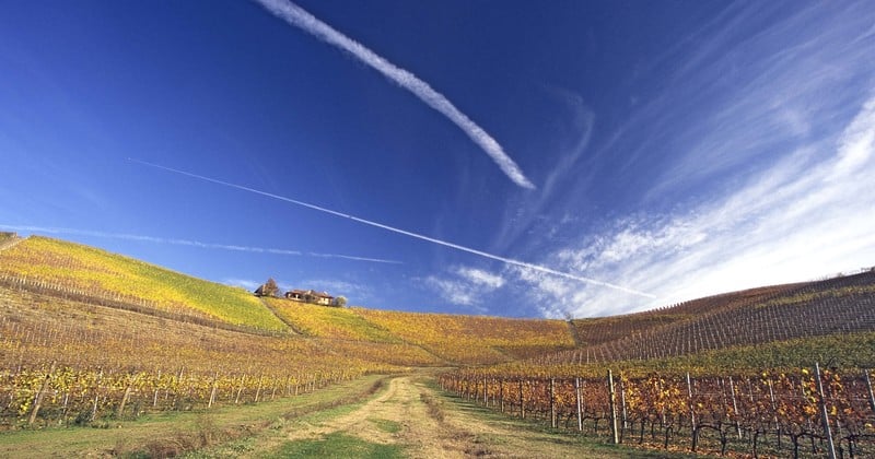Piedmont Wine Tour - Credits Fontanafredda Gallaretto