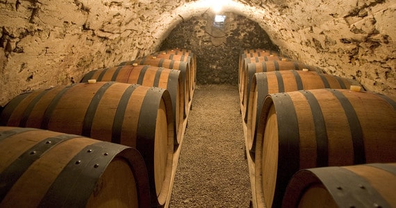 Avignon Wine Tour - Cave L.Pascale ADT 26