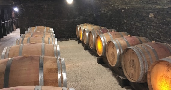 Wine tour in Burgundy