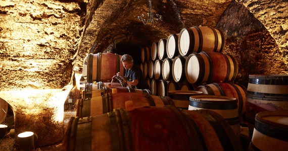 Wine tour in Burgundy - Credits- Beaune Tourisme © J. Piffaut