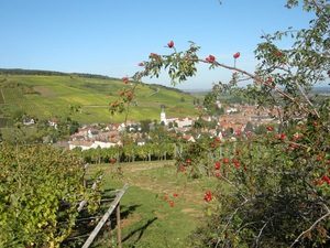 Alsace Barr Wine Road © C. Fleith 056