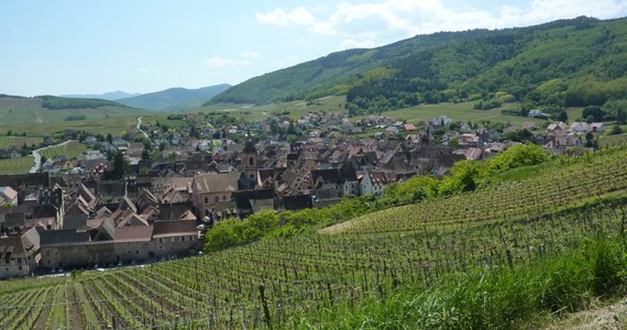 Alsace Wine Tour Riquewihr