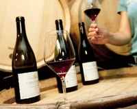 Burgundy Wine Tours- Photo Alain Doire_Bourgogne Tourisme