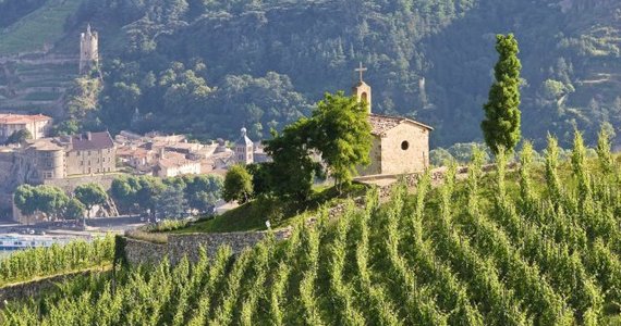 Wine Tour Booking - Credits Tain L'Hermitage L Pascale
