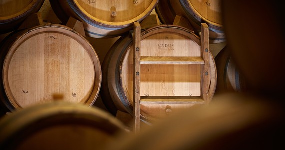Burgundy wine tours Credits Olivier Leflaive