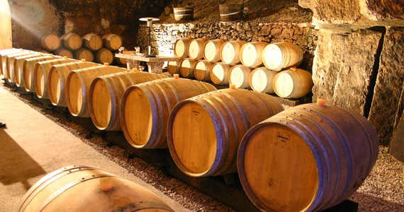 Wine vacations credits Le Chai Mégalithe - Caves de la Perrière