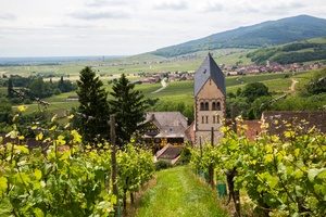 Corporate Wine- Credits Meyer and ADT Alsace