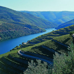 Wine Tasting Team Building- Credits Porto Convention and Visitos Bureau and Fernando Peneiras