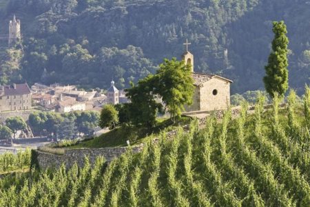 french wine regions tour