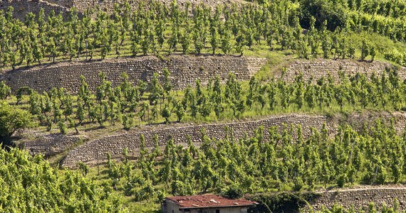 Rhone Valley Tour - Credits Tain L'Hermitage