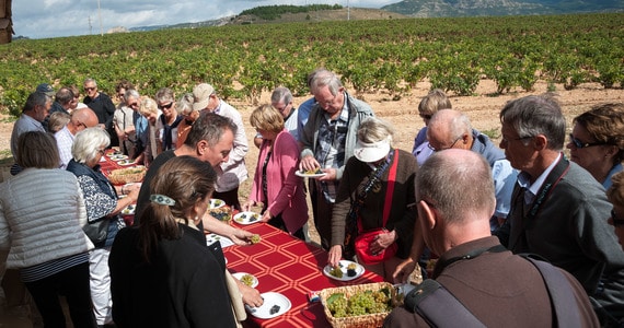 Ribera del Duero Tours - Credits Rioja Wineries Bilbainas