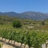 Rioja Wine Tours - Credits Widescreen