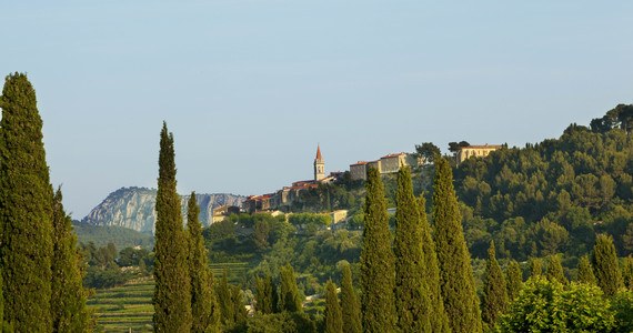 Cassis wine tour - hostellerie berard et spa-le village (view of the village of La Cadière d'Azur)