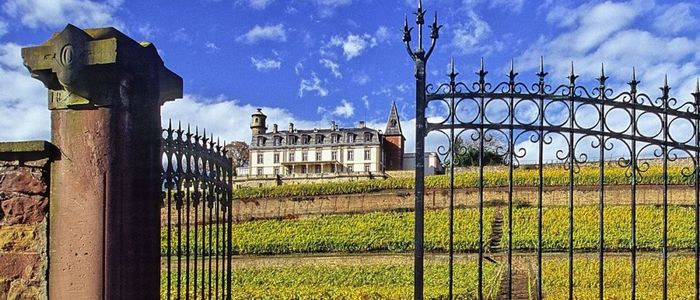 Wine tours in Alsace