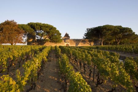 Bordeaux winery tour ©G.Uféras pour Yquem(25)