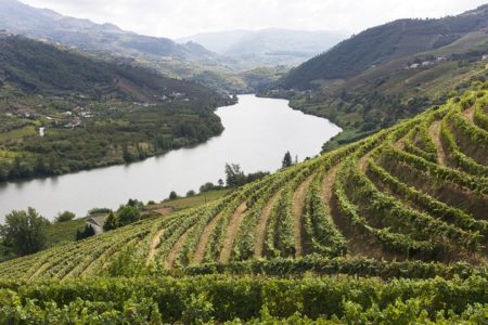 douro_3 Credits Douro Wine Tourism