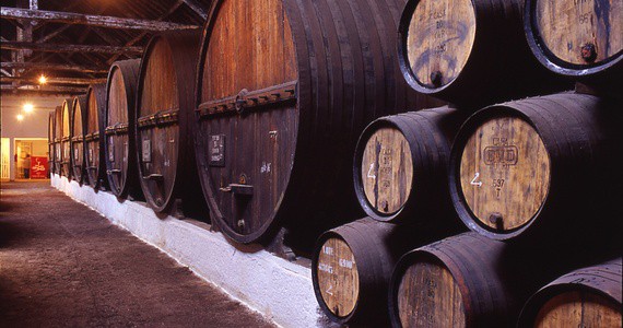 portwinelodge Credits Douro Wine Tourism