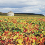Burgundy Vineyards- Credits Côte-d'Or Tourisme © J-M. SCHWARTZ