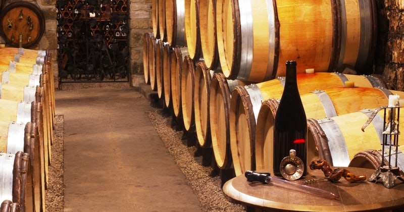 Burgundy wine tours