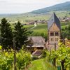wine tour in alsace Credits Meyer and ADT Alsace