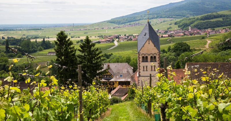 wine tour in alsace Credits Meyer and ADT Alsace