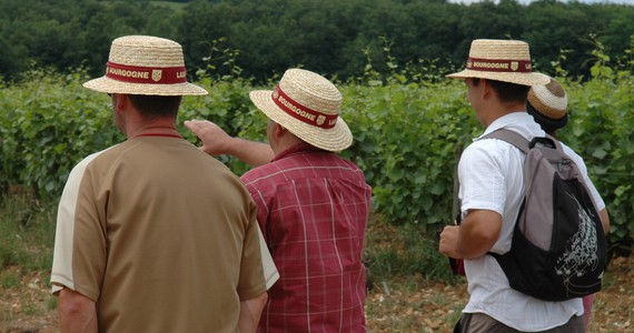 Burgundy wine tour- Credits Côte-d'Or Tourisme © R. KREBEL
