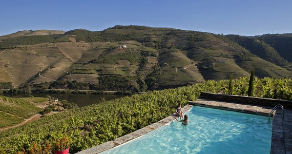 Douro Valley Wine Tours