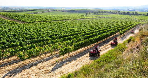 Rioja wine tours credits Bodegas Bilbainas