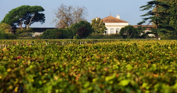 Luxury Saint Emilion Wine Tour - credits Chateau Lynch-Bages