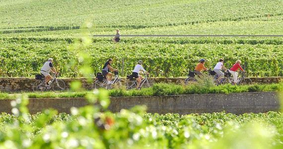 Burgundy wine tours- credits Photo Alain Doire_Bourgogne Tourisme