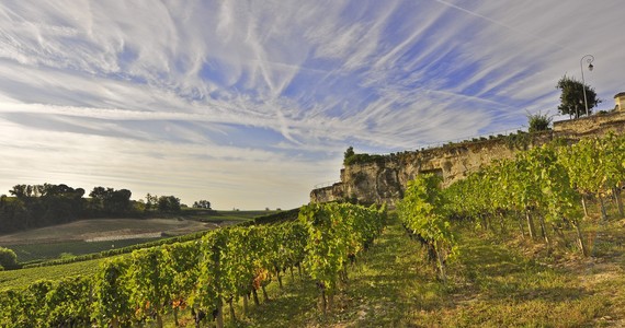 wine tasting in France- crédit Heurisko