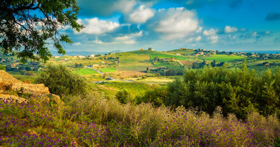 Hidden Gem Baglio Occhipinti