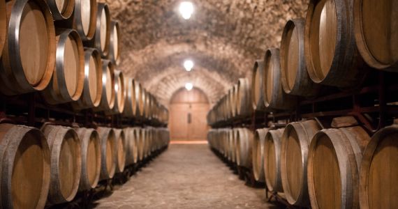 Winery in Chianti - Exclusive Florence