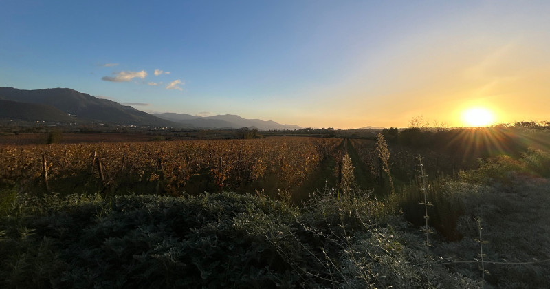 Winery stay near Etna, Sicily, Eastern Sicily wine tour