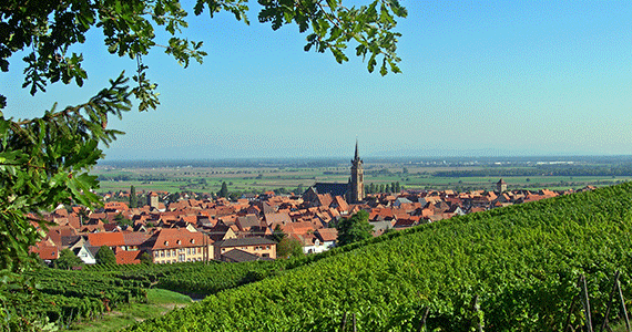 Self-drive holidays France | Alsace-Dambach-la-Ville-Wine-Road-©-C.-Fleith