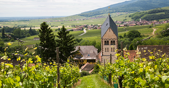 Alsace Wine Tour-Credits-Meyer-and-ADT-Alsace