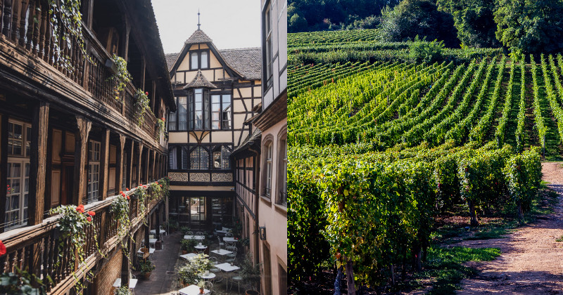 Alsace, France, best wine regions near paris. Credit Cour du Corbeau