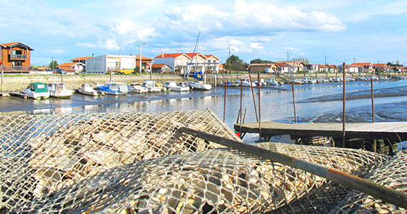 Oyster beds at Arcachon