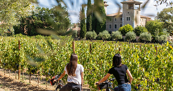 Provence wine tours -Chateau-de-Berne---7-@LEA-GIL-(20)-570x300