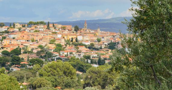 Bandol Provence Cadiere d'Azur, Vins de Bandol credit les Vinographes