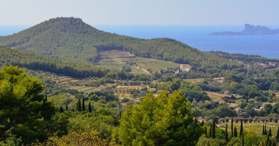 Bandol Provence Cadiere landscape, credit Vins de Bandol Les Vinographes